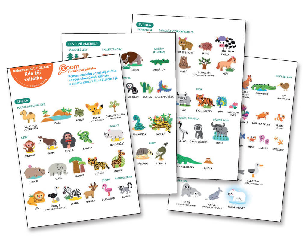 foto Kde �ij� zv���tka � mini nafukovac� gl�bus