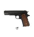 Colt 45 Goverment 1911